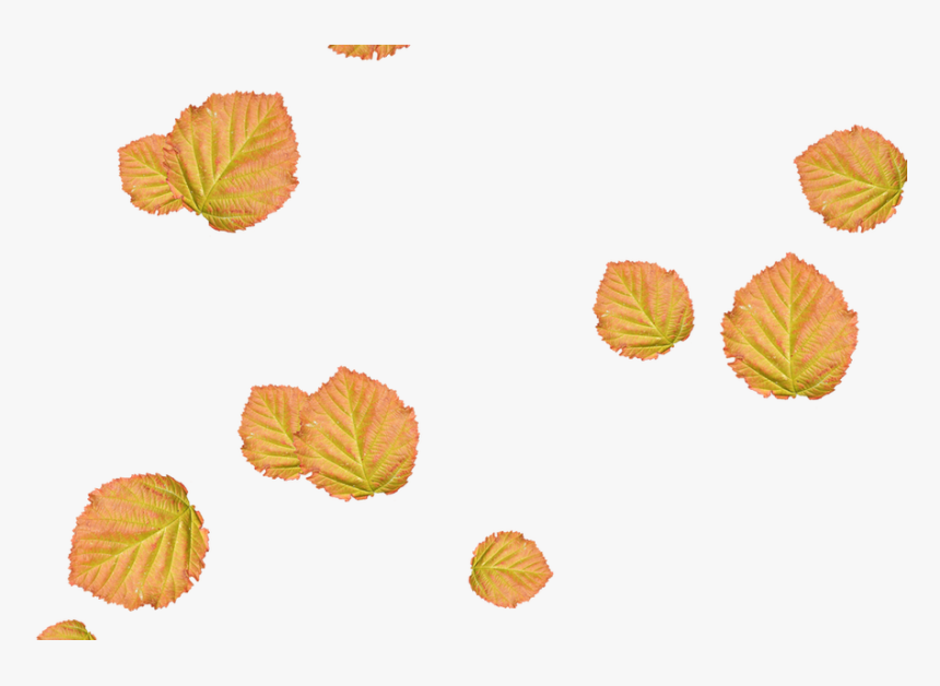 Autumn, HD Png Download, Free Download