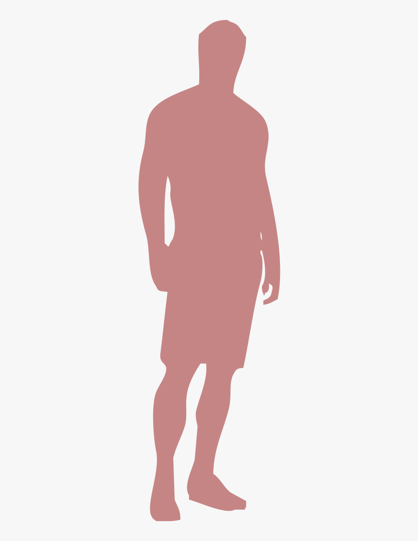 Average Human Height Transparent, HD Png Download, Free Download