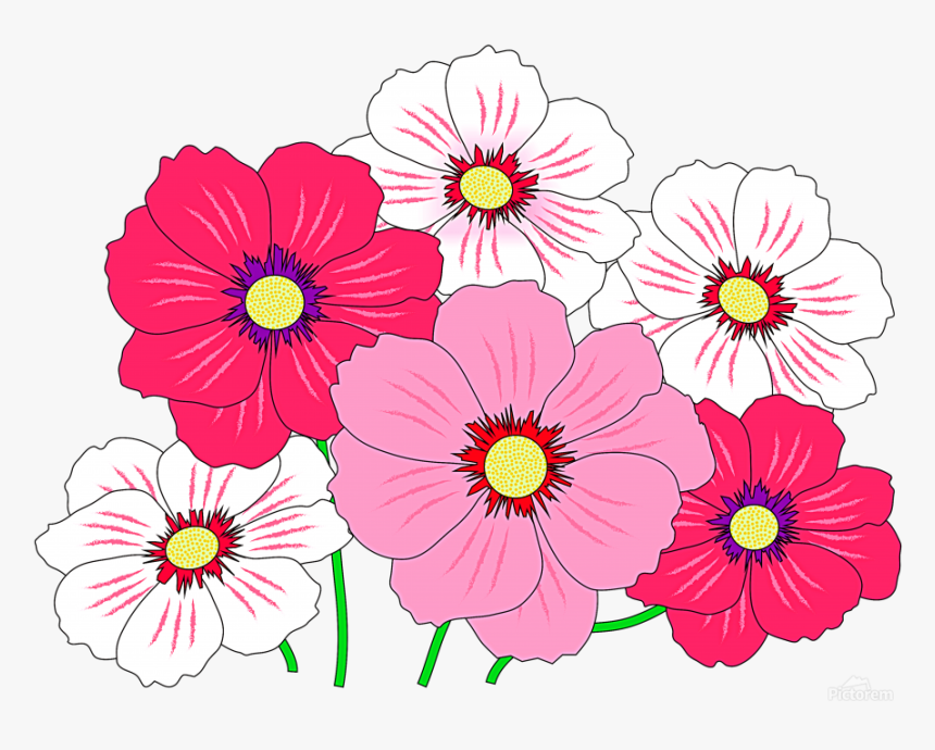 Colorful Flowers Png, Transparent Png, Free Download