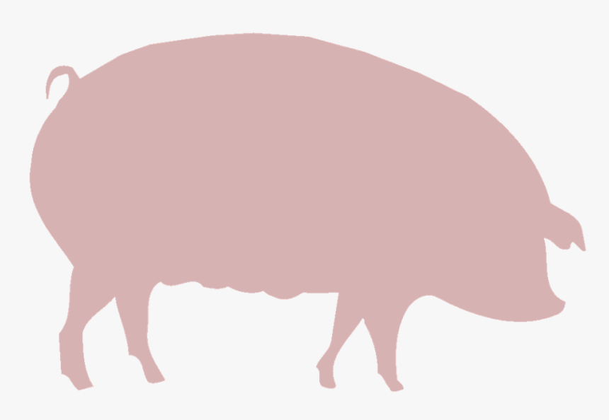 Farm, Farming, Animals, Agriculture, Rural, Pig, Hog - Hog Raffle, HD Png Download, Free Download