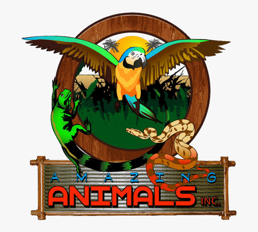 Amazing Animals Inc Zoo Park, HD Png Download, Free Download