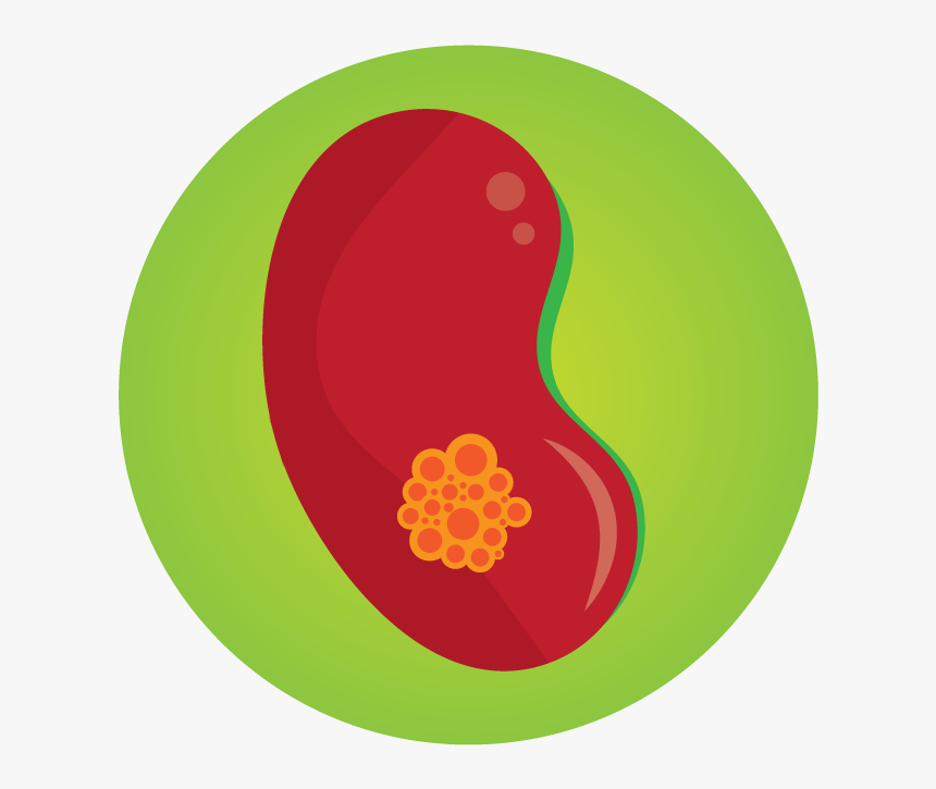 Kidney Injury - Circle, HD Png Download, Free Download