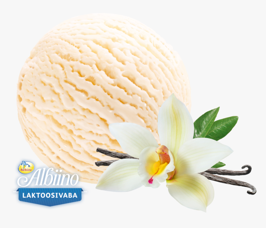 Lactose Free Vanilla Ice Cream - Artificial Flower, HD Png Download, Free Download