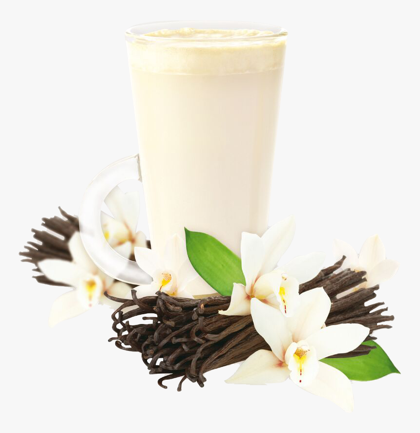 Vanilla Drink Png, Transparent Png, Free Download