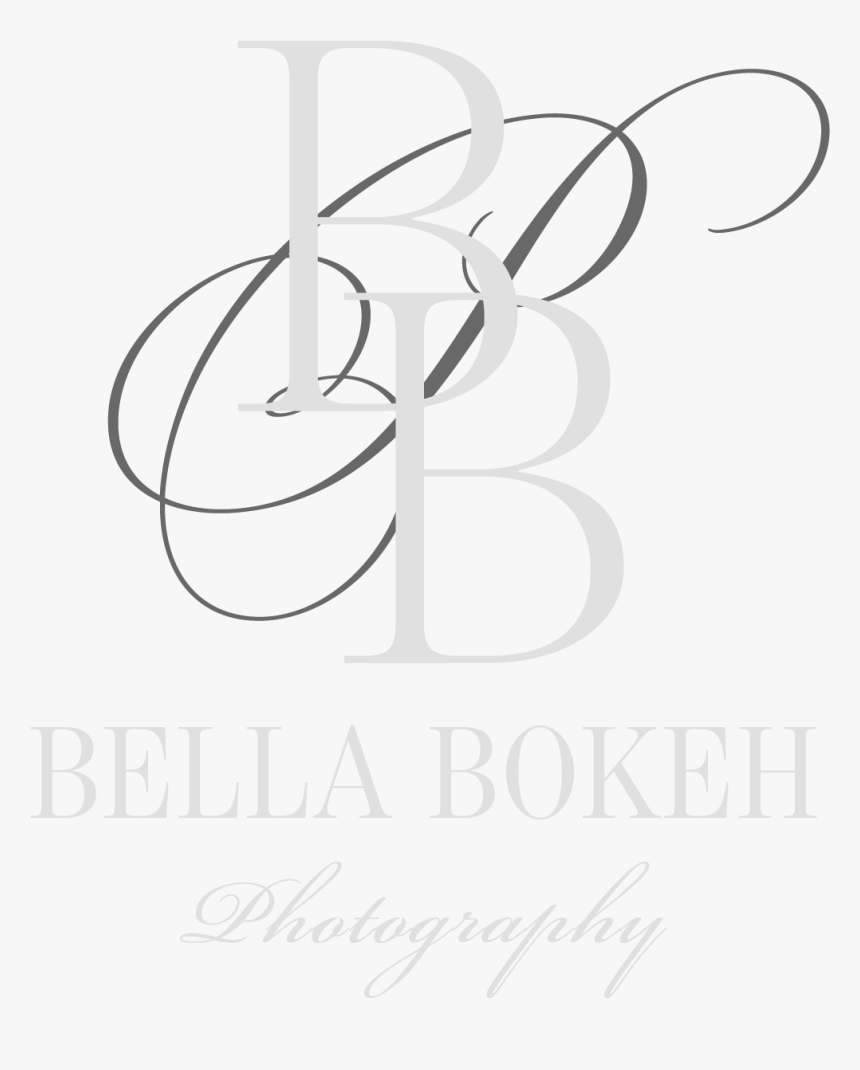 Bella Bokeh Photography - Line Art, HD Png Download, Free Download