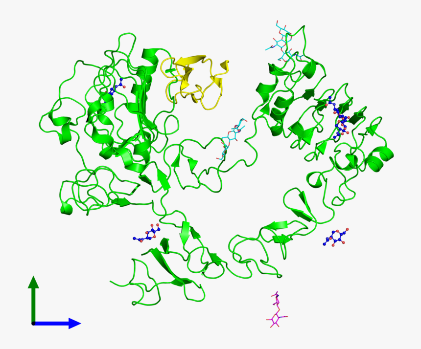 Molecules Png Hd - Human Epidermal Growth Factor Molecular, Transparent Png, Free Download