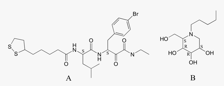 Image238 - Leucine Enkephalin, HD Png Download, Free Download