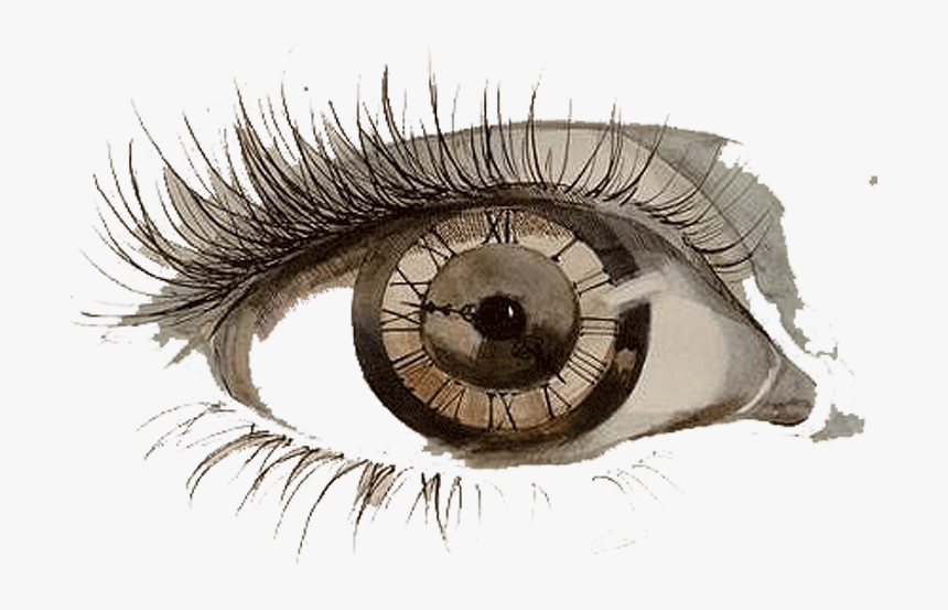 Jpg Stock Bean Drawing Eye - Drawing Eyes Png, Transparent Png, Free Download