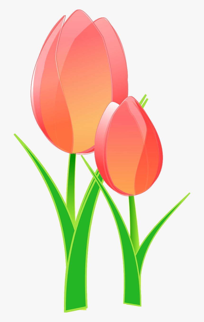 Tulips Clip Art, HD Png Download, Free Download