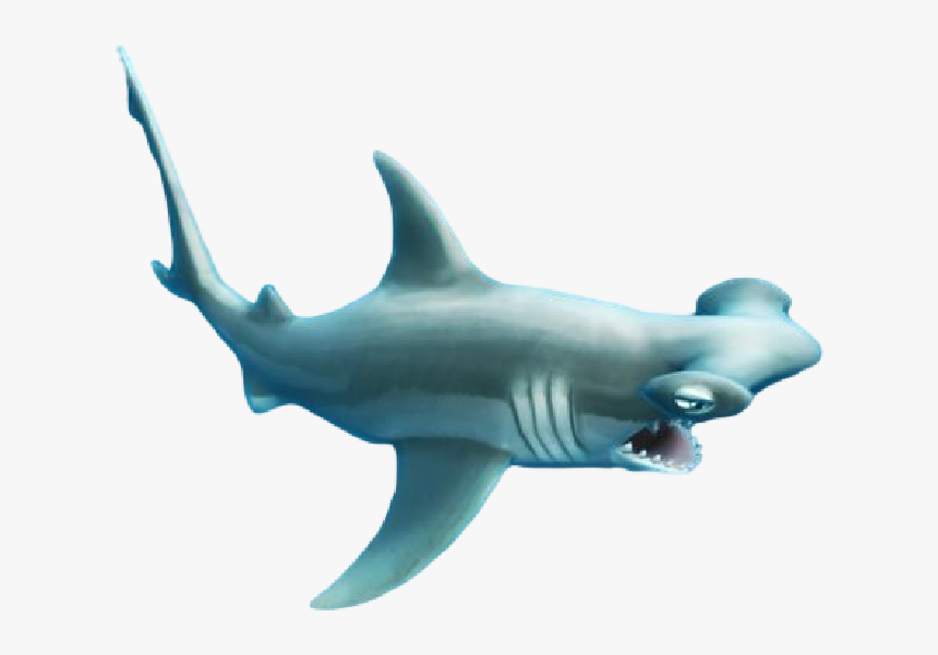 Hungry Shark Hammerhead Shark , Png Download - Hungry Shark Hammer Head, Transparent Png, Free Download