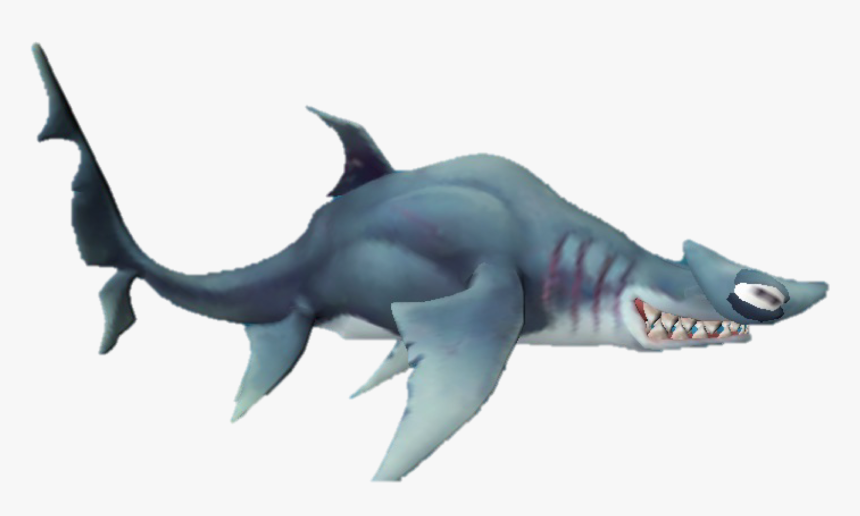 Hammerhead Shark Png , Png Download - Requiem Shark, Transparent Png, Free Download