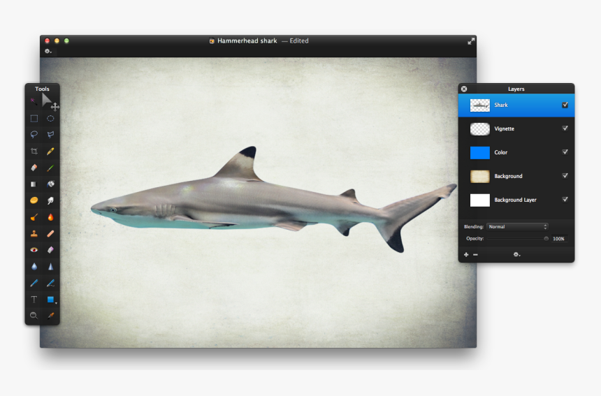 Tiger Shark, HD Png Download, Free Download