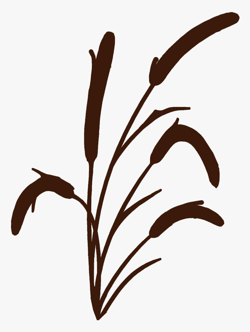 River Reed, HD Png Download, Free Download