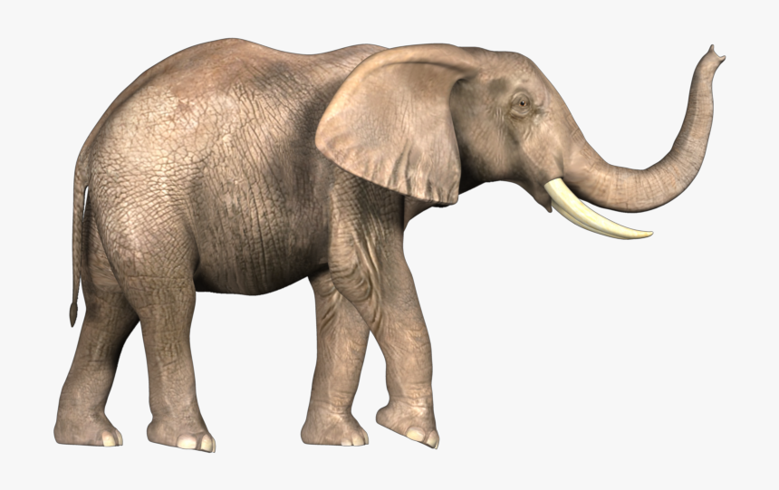 Noose Png -noose Png - Bahubali Elephant 4k, Transparent Png, Free Download