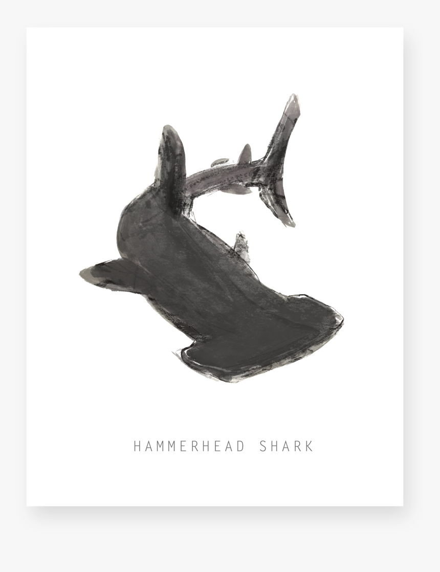 Hammerhead - Killer Whale, HD Png Download, Free Download