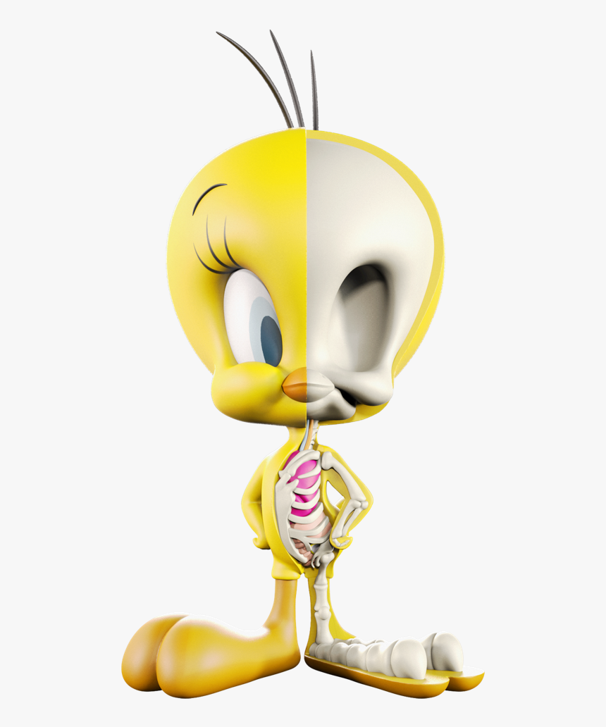 Tweety Xxray 8inch, HD Png Download, Free Download