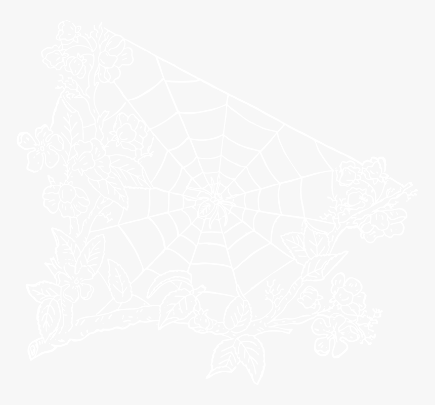 Spider Web, HD Png Download, Free Download