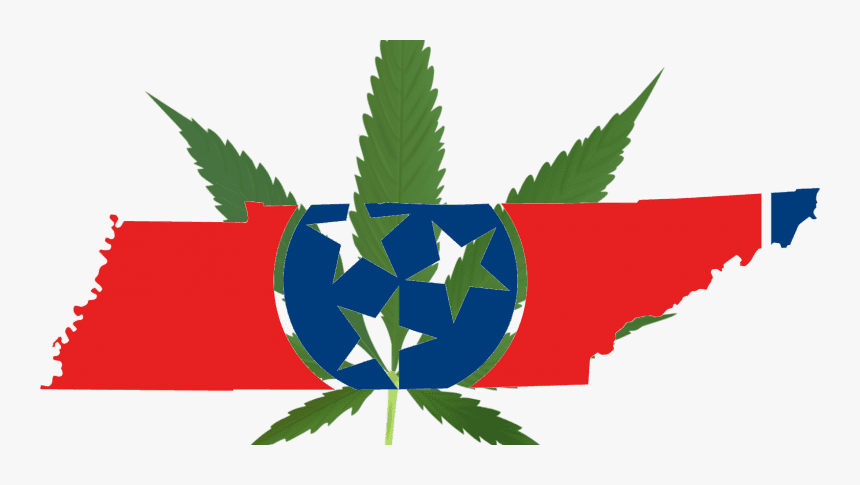 Residents Want Tennessee Medical Marijuana, But Politicians - Bob Marley Ganja Leaf, HD Png Download, Free Download