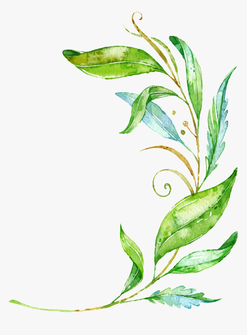 Watercolor Branch Png - Png Green Leaves Vector, Transparent Png, Free Download