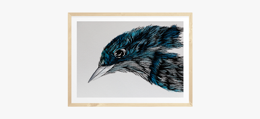 Starling, HD Png Download, Free Download