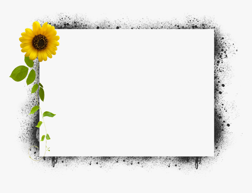 Transparent Sunflower Frame Png - Transparent Sunflower Border Png, Png Download, Free Download