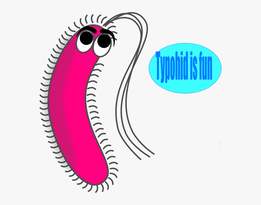 Funny Germs Cliparts - Gram Negative Bacteria Cartoon, HD Png Download, Free Download