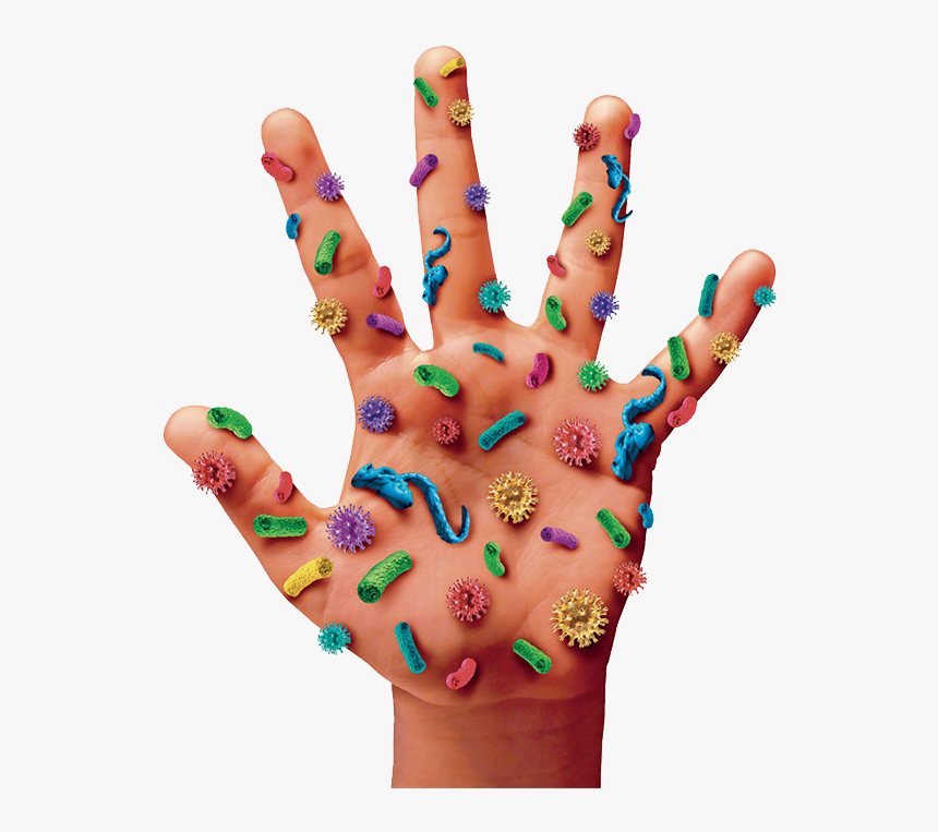 People Who Dont Wash Their Hands, HD Png Download, Free Download