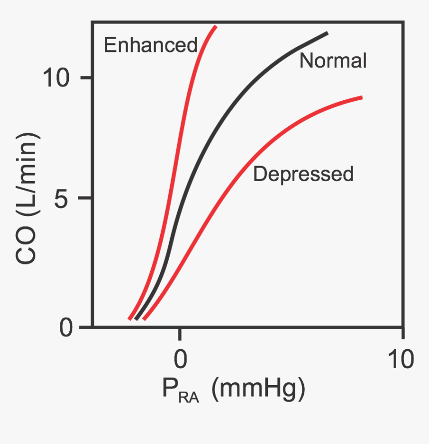 Cardiac Function Curves - Cardiac Function Curve, HD Png Download, Free Download