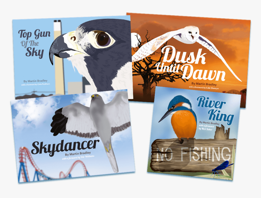 Flyer, HD Png Download, Free Download