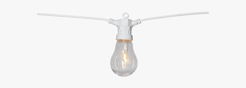 Light Chain Circus Filament - Incandescent Light Bulb, HD Png Download, Free Download