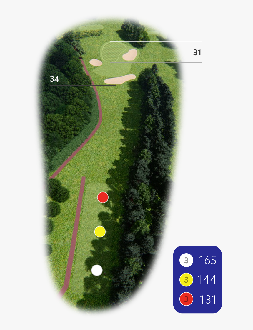 1st Hole Billing - Artificial Turf, HD Png Download, Free Download