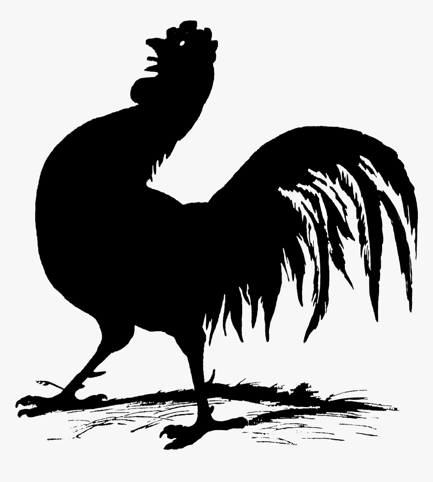1424 Rooster Silhouette Free Vintage Clip Art - Silhouette Rooster Art, HD Png Download, Free Download