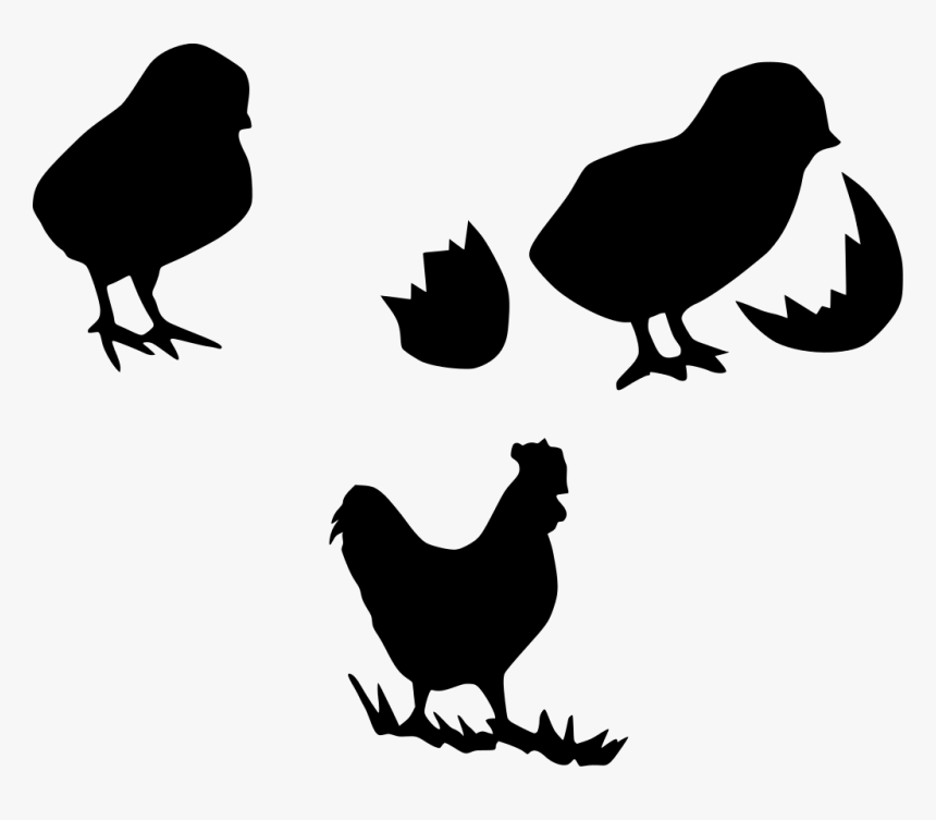 Transparent Chicken Silhouette Png - Chicks Logo, Png Download, Free Download