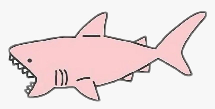 Tumblr Sticker Adesivo Report Abuse - Transparent Aesthetic Shark, HD Png Download, Free Download