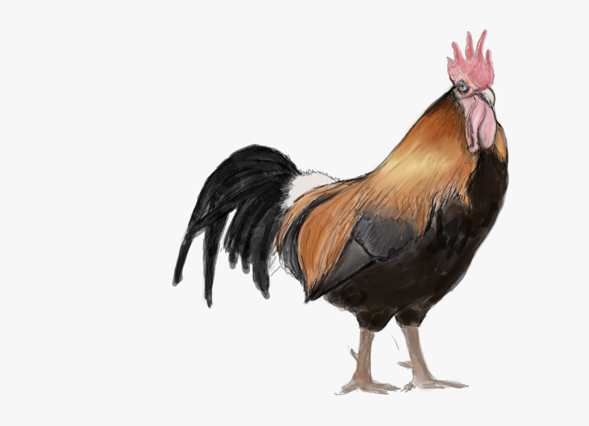 Rooster, HD Png Download, Free Download