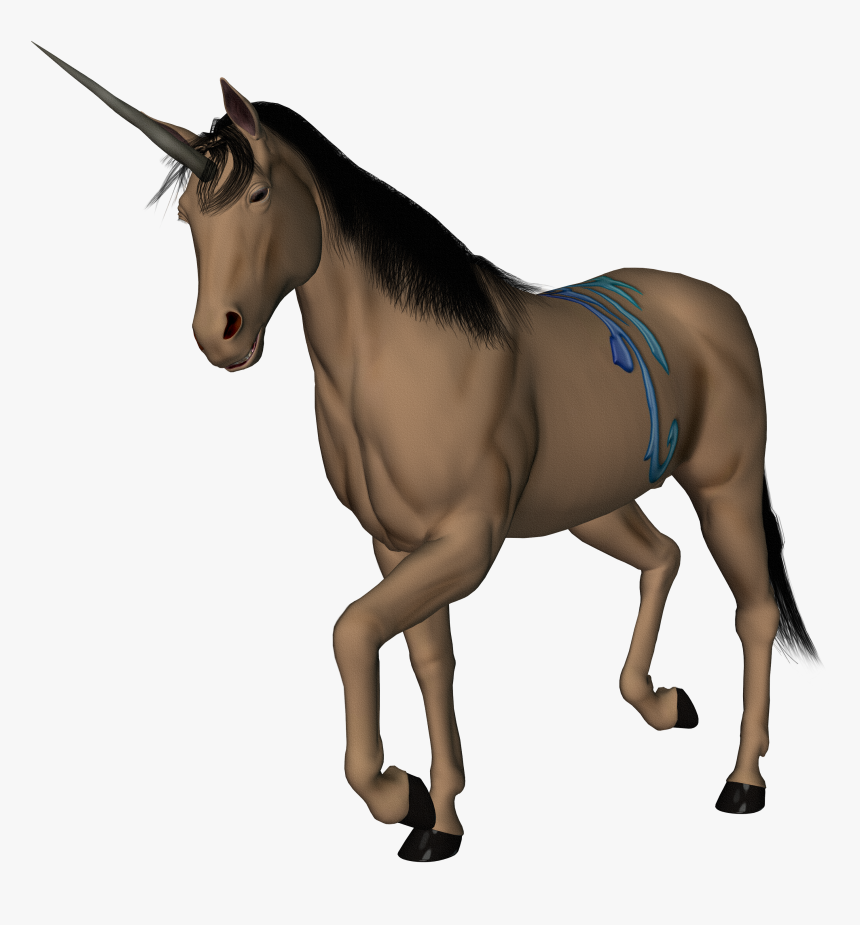 Transparent Horse Face Clipart - Bronco Animal, HD Png Download, Free Download