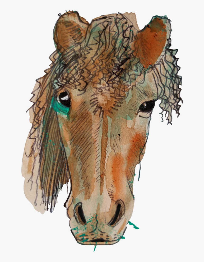 Horseface , Png Download, Transparent Png, Free Download