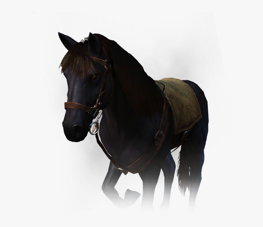 Witcher Wiki - Pure Bred Nilfgaardian Thoroughbred Stallion, HD Png Download, Free Download