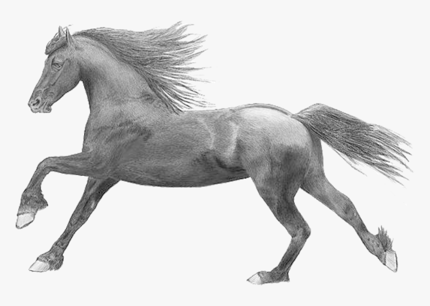 Figure,mare,mustang Horse,sorrel,black And Character - Wild Horses Transparent Background, HD Png Download, Free Download