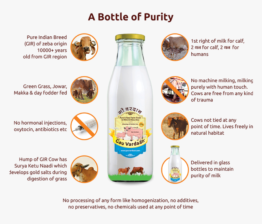 A Bottle Of Purity - Subscription Milk, HD Png Download, Free Download