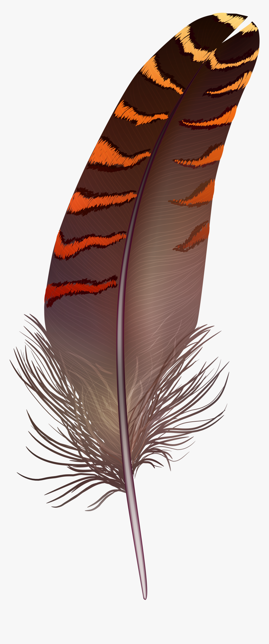 Brown Png Art Gallery - Feather Png Transparent, Png Download, Free Download