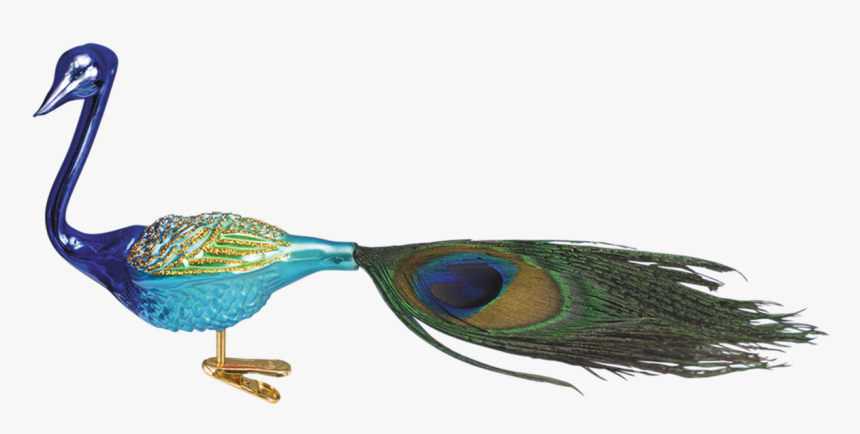 Peafowl, HD Png Download, Free Download