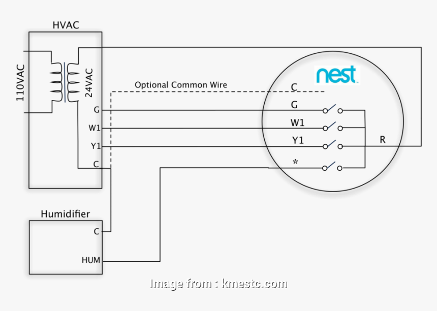 110v Thermostat Wiring Diagram Nest Thermostat Wiring