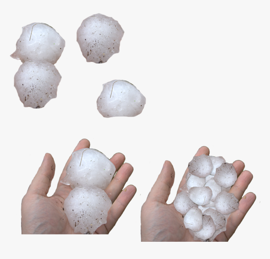 Inspecting And Indentifying Hail Damage - Egg Decorating, HD Png Download, Free Download