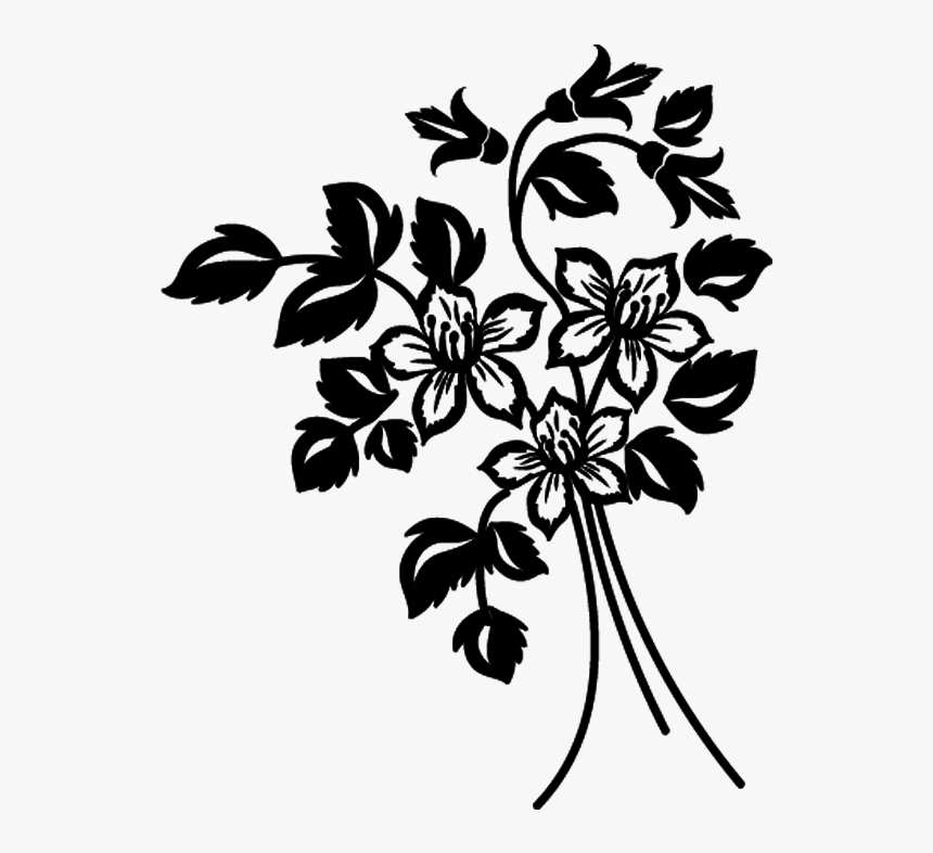 Sketch Png Pinterest - Rosa Glauca, Transparent Png, Free Download