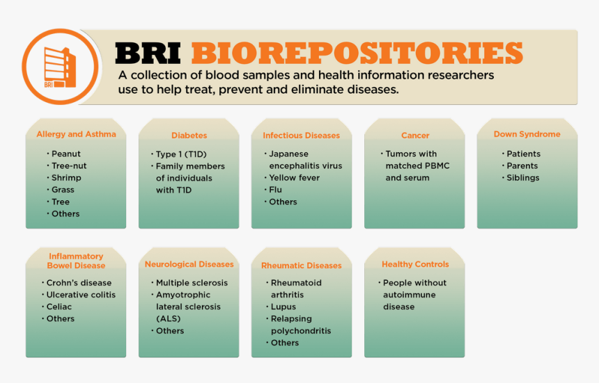 Bri Biorepositories - Orange, HD Png Download, Free Download