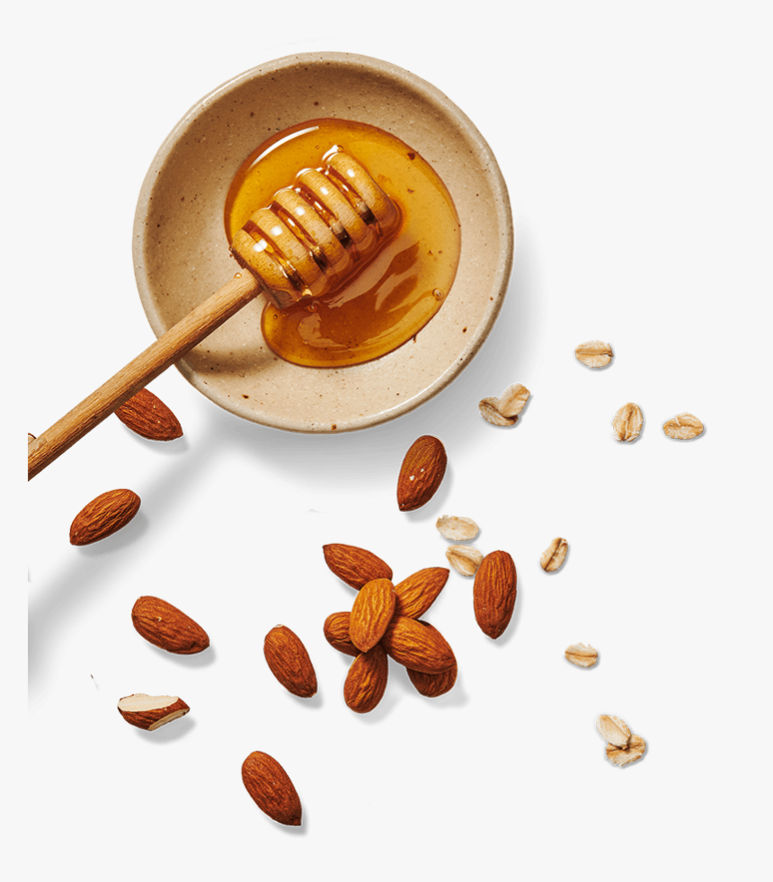 Almond, HD Png Download, Free Download