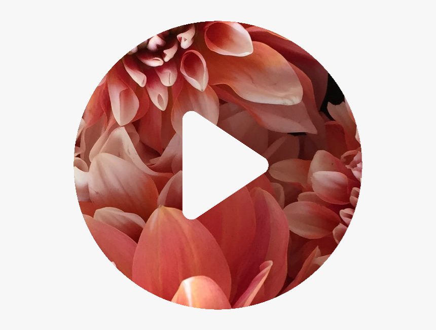 Flowers Play - Crystal, HD Png Download, Free Download