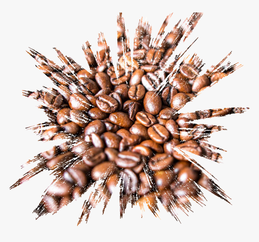 Coffee Splash Abstract Myjob Myart 4asno4i - Coffee 800 X 200, HD Png Download, Free Download