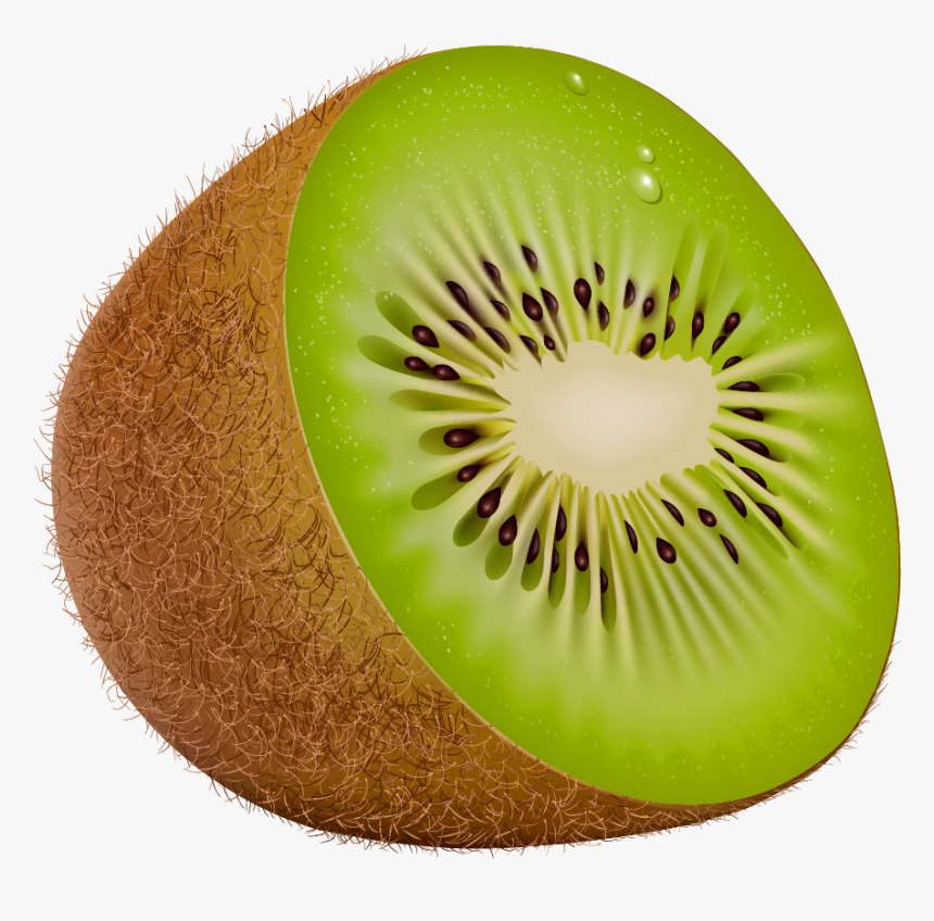 Kiwi Png Clipart - Kiwi Clipart Png, Transparent Png, Free Download